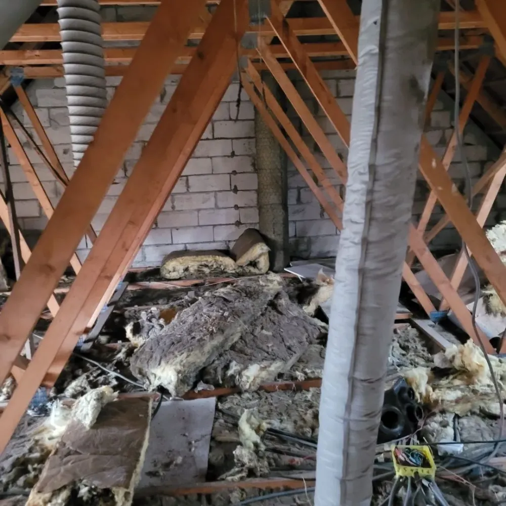 renovation charpente